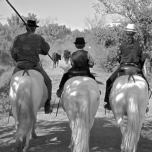 Mas Du Menage En Camargue Manade Clauzel Bed & Breakfast